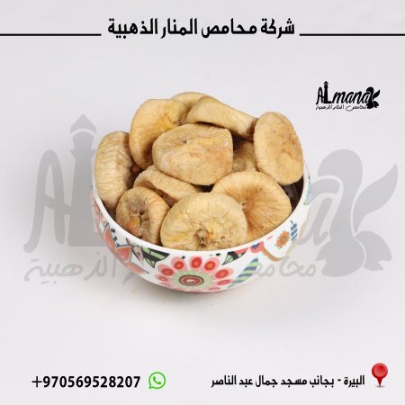 قطين