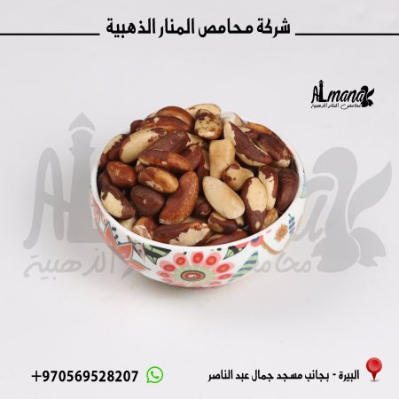 لوز برازيلي ني