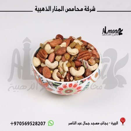 مخلوطه صحية