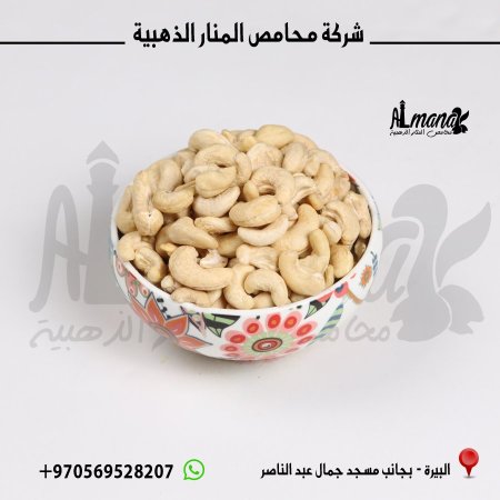 كاشو ني