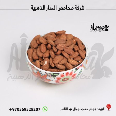 لوز ني