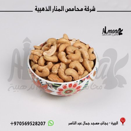 كاشو 180