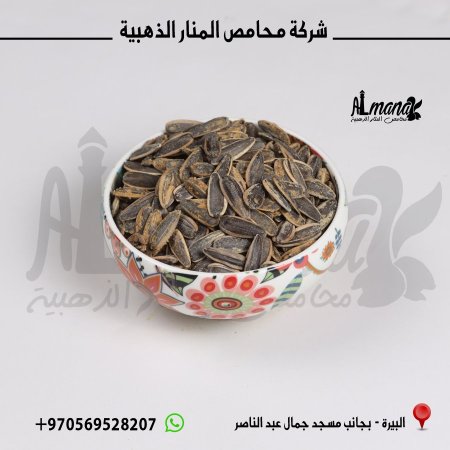 بزر شمس مالح