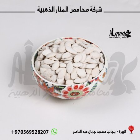 بزر قرع