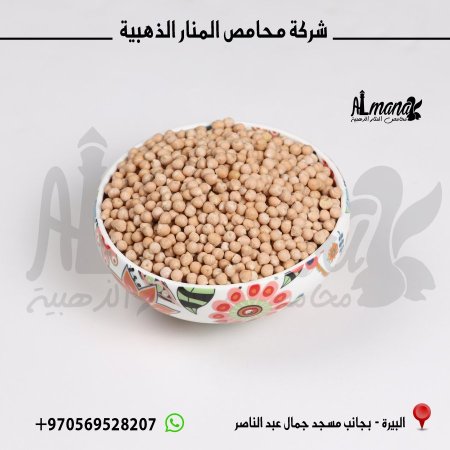 حمص حبة صغيرة