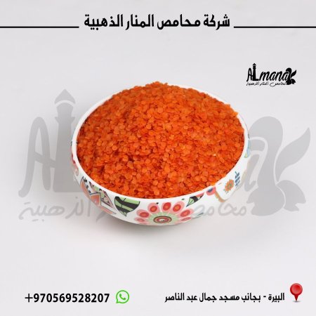 عدس مجروش