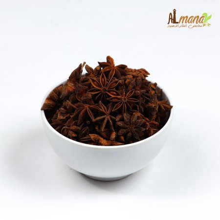 نجمة الانيس